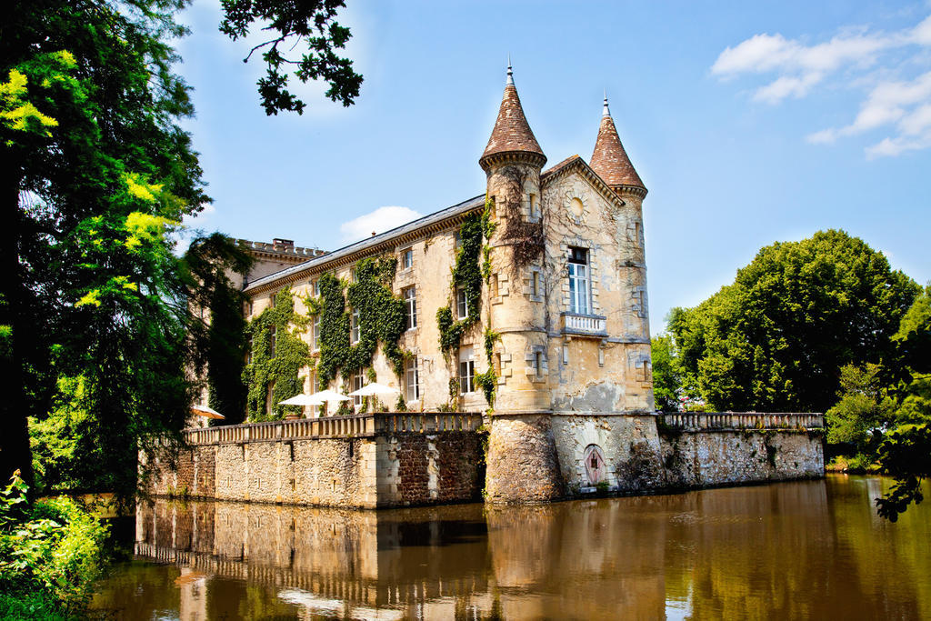 Chateau Lamothe Du Prince Noir - B&B Saint-Sulpice-et-Cameyrac Exterior foto